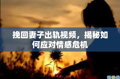 挽回妻子出轨视频，揭秘如何应对情感危机