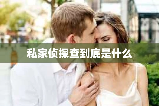 私家侦探查到底是什么