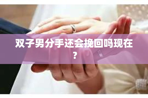 双子男分手还会挽回吗现在? 双子男分手还会挽回吗现在?