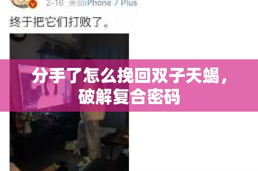 分手了怎么挽回双子天蝎，破解复合密码