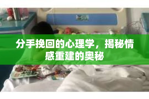 分手挽回的心理学，揭秘情感重建的奥秘