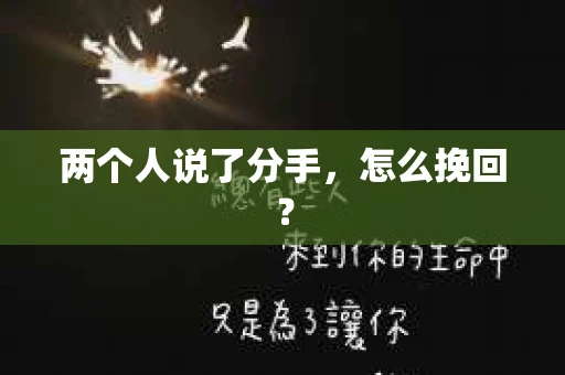 两个人说了分手,怎么挽回? 两个人说了分手,怎么挽回?
