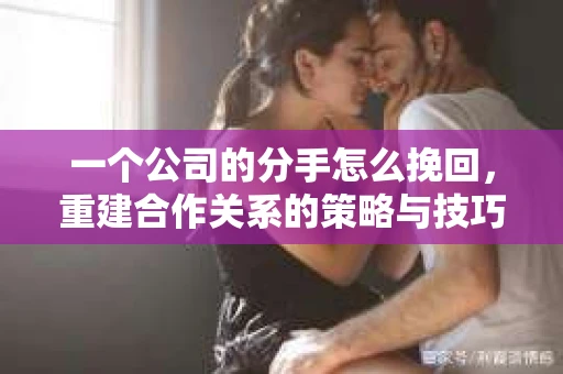 一个公司的分手怎么挽回，重建合作关系的策略与技巧