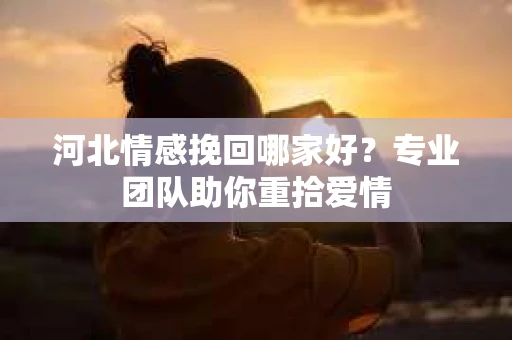 河北情感挽回哪家好？专业团队助你重拾爱情