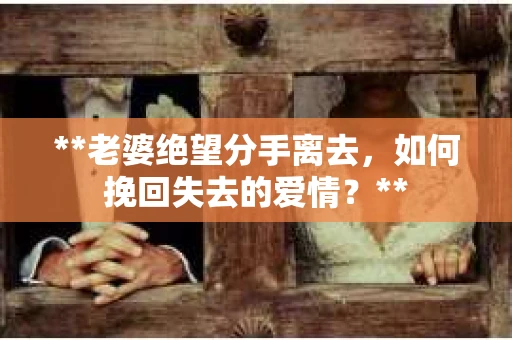 **老婆绝望分手离去，如何挽回失去的爱情？**