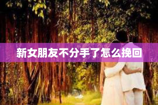 新女朋友不分手了怎么挽回