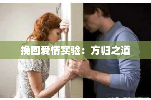 挽回爱情实验：方归之道