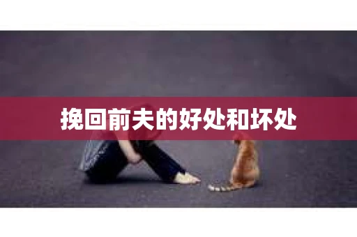 挽回前夫的好处和坏处