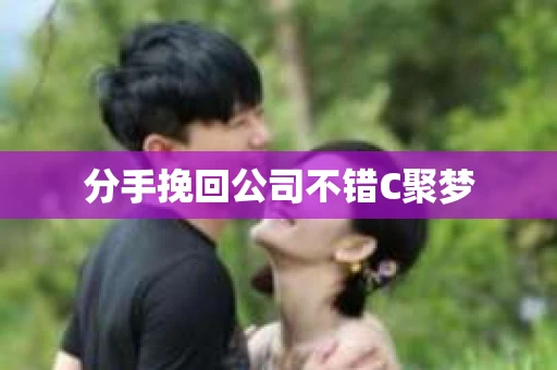 分手挽回公司不错C聚梦