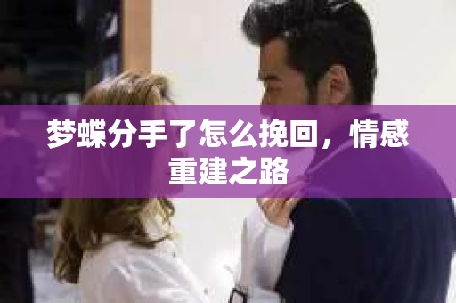 梦蝶分手了怎么挽回，情感重建之路