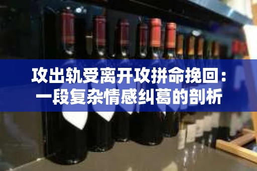 攻出轨受离开攻拼命挽回：一段复杂情感纠葛的剖析
