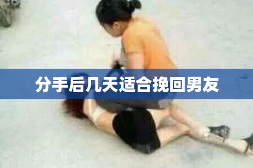 分手后几天适合挽回男友