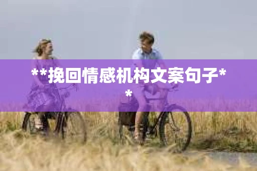 **挽回情感机构文案句子**