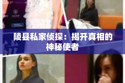 陵县私家侦探：揭开真相的神秘使者