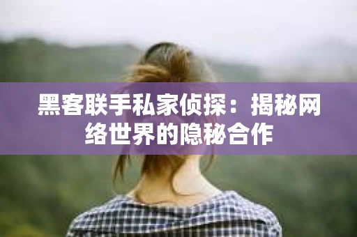 黑客联手私家侦探：揭秘网络世界的隐秘合作