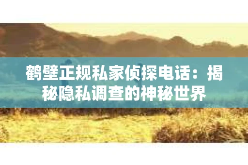 鹤壁正规私家侦探电话：揭秘隐私调查的神秘世界