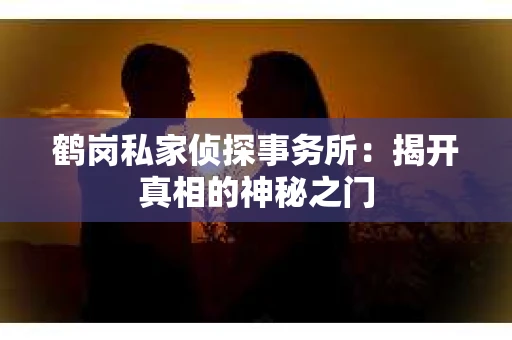鹤岗私家侦探事务所：揭开真相的神秘之门