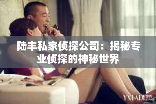 陆丰私家侦探公司：揭秘专业侦探的神秘世界