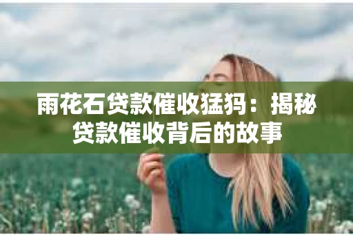 雨花石贷款催收猛犸：揭秘贷款催收背后的故事