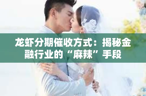 龙虾分期催收方式：揭秘金融行业的“麻辣”手段