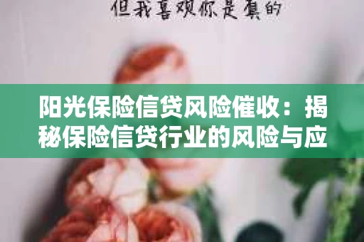 阳光保险信贷风险催收：揭秘保险信贷行业的风险与应对