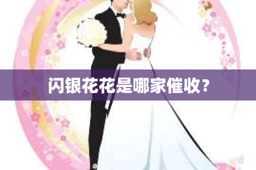 闪银花花是哪家催收？