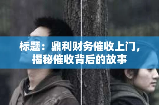 标题：鼎利财务催收上门，揭秘催收背后的故事