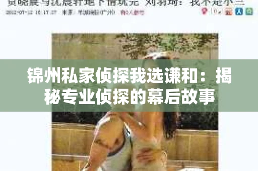 锦州私家侦探我选谦和：揭秘专业侦探的幕后故事