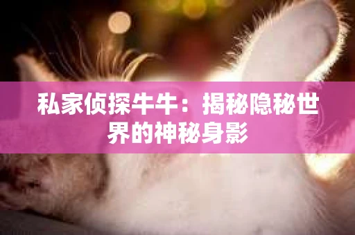 私家侦探牛牛：揭秘隐秘世界的神秘身影