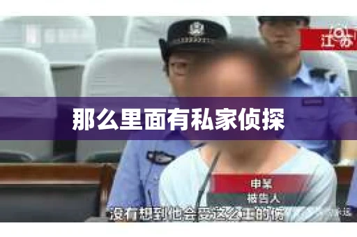 那么里面有私家侦探
