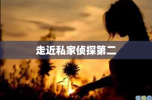 走近私家侦探第二