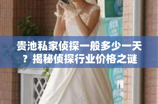 贵池私家侦探一般多少一天？揭秘侦探行业价格之谜