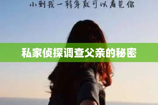 私家侦探调查父亲的秘密