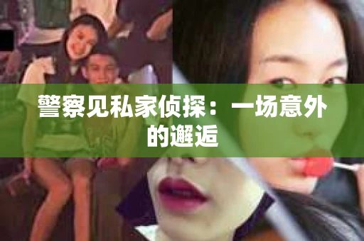 警察见私家侦探：一场意外的邂逅
