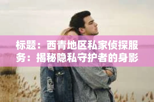 标题：西青地区私家侦探服务：揭秘隐私守护者的身影