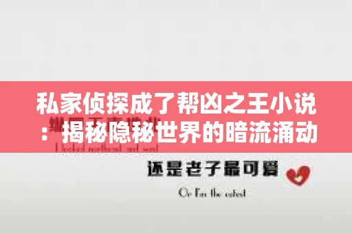 私家侦探成了帮凶之王小说：揭秘隐秘世界的暗流涌动
