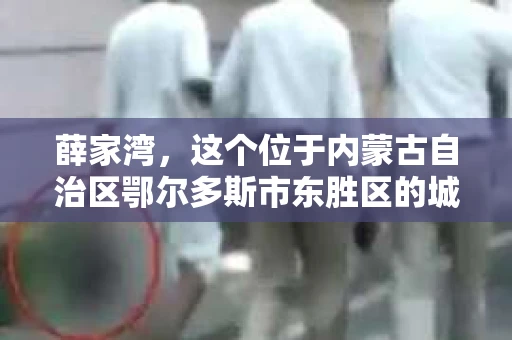 薛家湾，这个位于内蒙古自治区鄂尔多斯市东胜区的城镇，因其独特的地理位置和丰富的资源而闻名。然而，当谈到私家侦探这个行业时，很多人可能会好奇：薛家湾有私家侦探吗？他们收费又是多少呢？今天，我就来和大家聊聊这个话题。