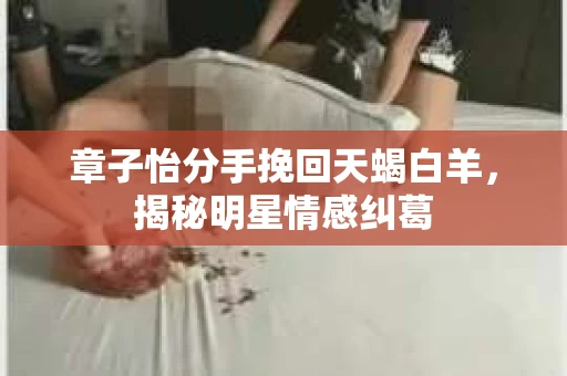 章子怡分手挽回天蝎白羊，揭秘明星情感纠葛